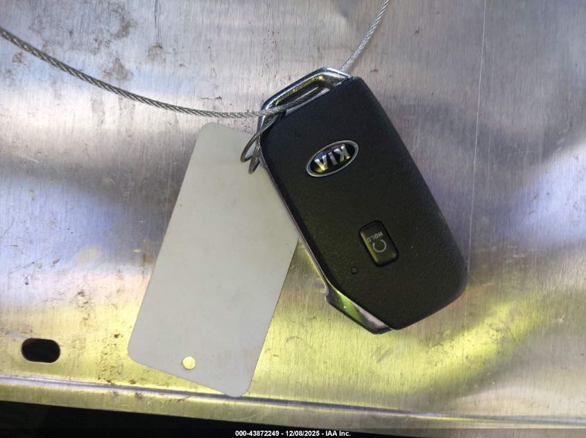 2021 Kia Telluride Sx VIN: 5XYP54HC8MG166904 Lot: 43872249