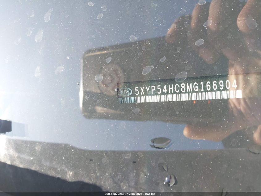2021 Kia Telluride Sx VIN: 5XYP54HC8MG166904 Lot: 43872249