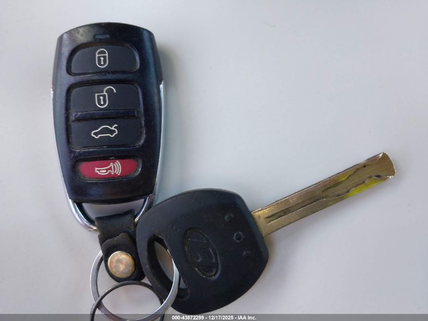 2007 Hyundai Azera Limited/Se VIN: KMHFC46F97A139340 Lot: 43872299