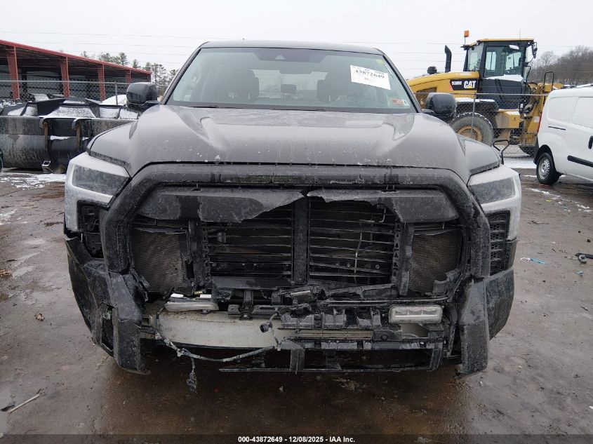 2023 Toyota Tundra Sr5 VIN: 5TFLA5DB4PX124745 Lot: 43872649