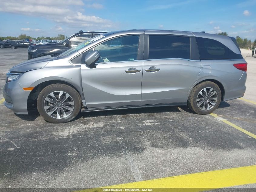 2024 Honda Odyssey Ex-L VIN: 5FNRL6H66RB053522 Lot: 43873320