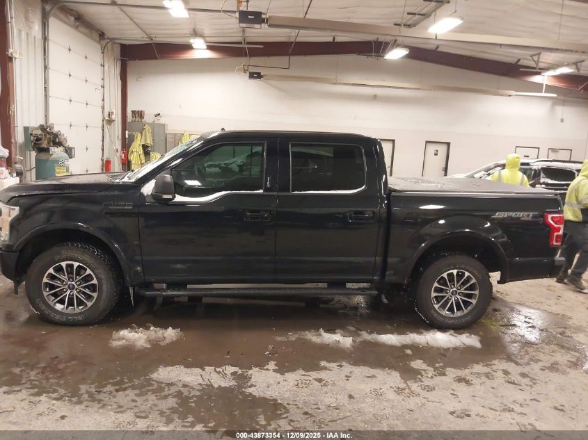 2019 Ford F-150 Xlt VIN: 1FTEW1EP3KFA34241 Lot: 43873354