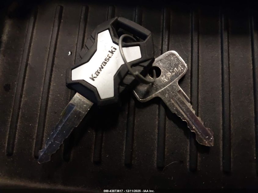 2025 Kawasaki Kwt1000 F VIN: JKAWTCF12SB500228 Lot: 43873617