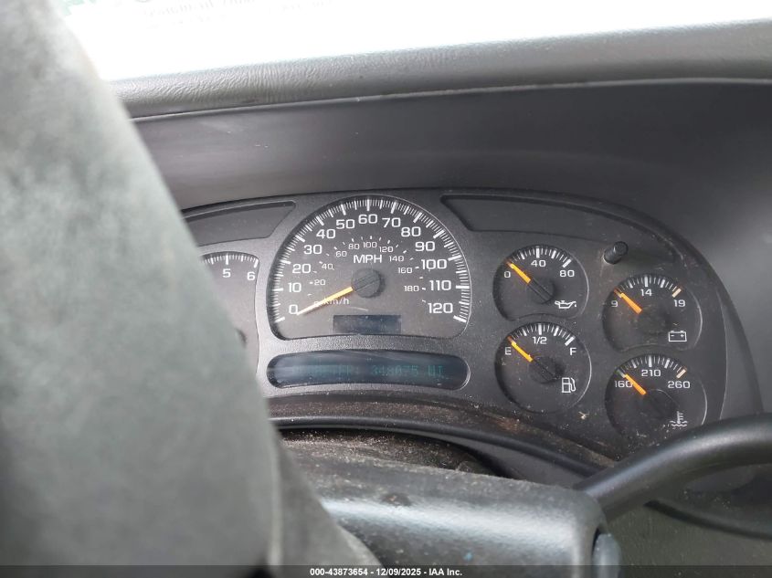 2005 Chevrolet Silverado 1500 Ls VIN: 1GCEC19V35Z285653 Lot: 43873654