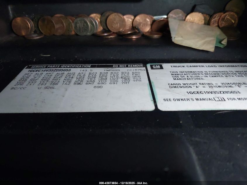 2005 Chevrolet Silverado 1500 Ls VIN: 1GCEC19V35Z285653 Lot: 43873654