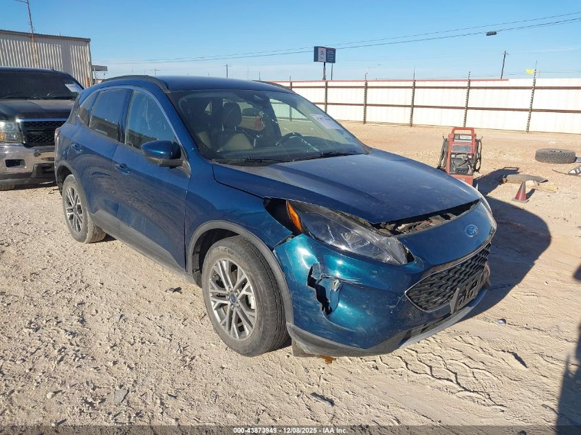 FORD ESCAPE SEL