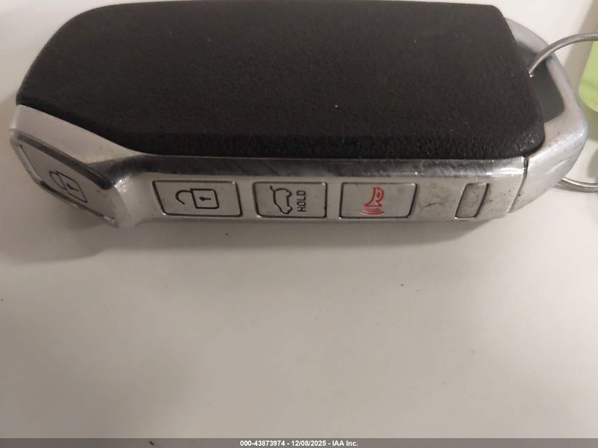 2020 Kia Telluride Sx VIN: 5XYP5DHC7LG021741 Lot: 43873974