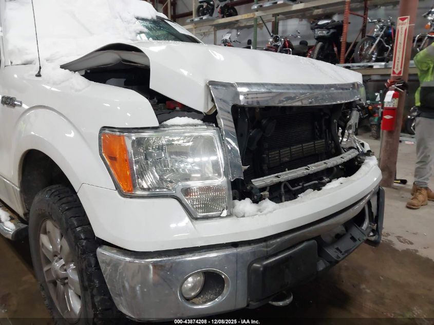 2014 Ford F-150 Xlt VIN: 1FTFW1EF4EFC66962 Lot: 43874208