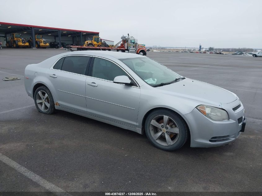 CHEVROLET MALIBU 1LT
