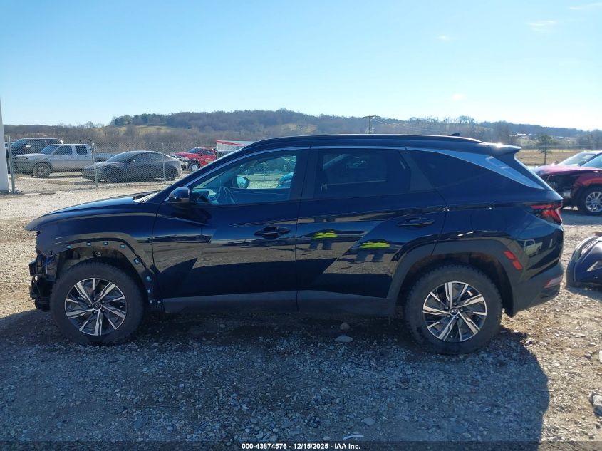 2024 Hyundai Tucson Hybrid Blue VIN: KM8JBCD14RU211352 Lot: 43874576
