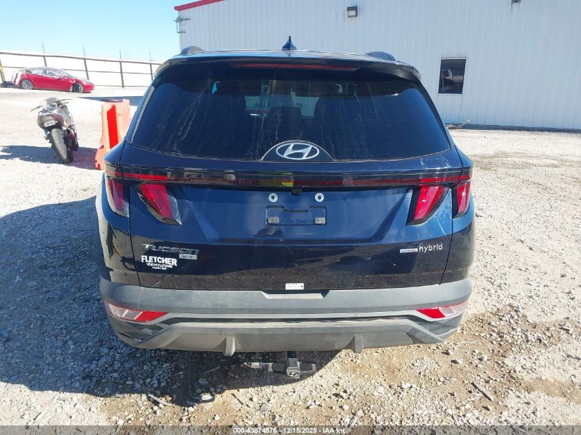 2024 Hyundai Tucson Hybrid Blue VIN: KM8JBCD14RU211352 Lot: 43874576