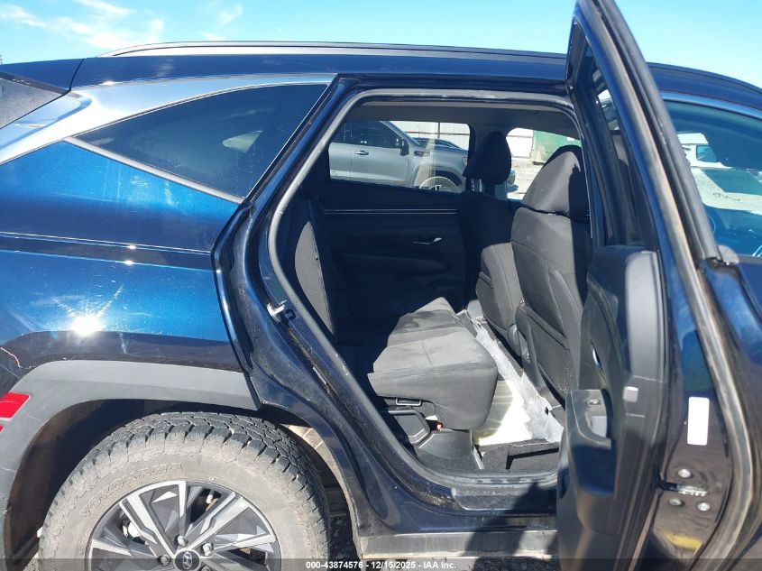 2024 Hyundai Tucson Hybrid Blue VIN: KM8JBCD14RU211352 Lot: 43874576