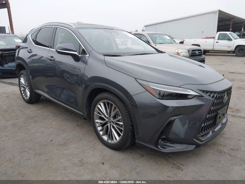 LEXUS NX 350H LUXURY