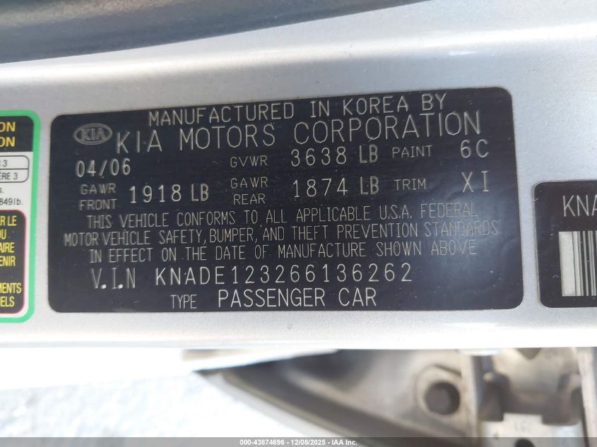 2006 Kia Rio Lx VIN: KNADE123266136262 Lot: 43874696