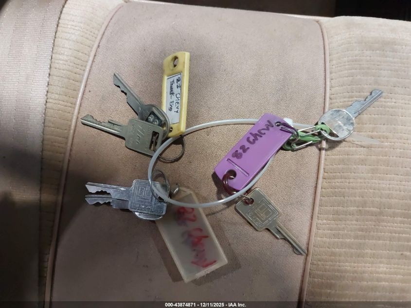 1982 Chevrolet Caprice Classic VIN: 1G1AN69J9CX100512 Lot: 43874871