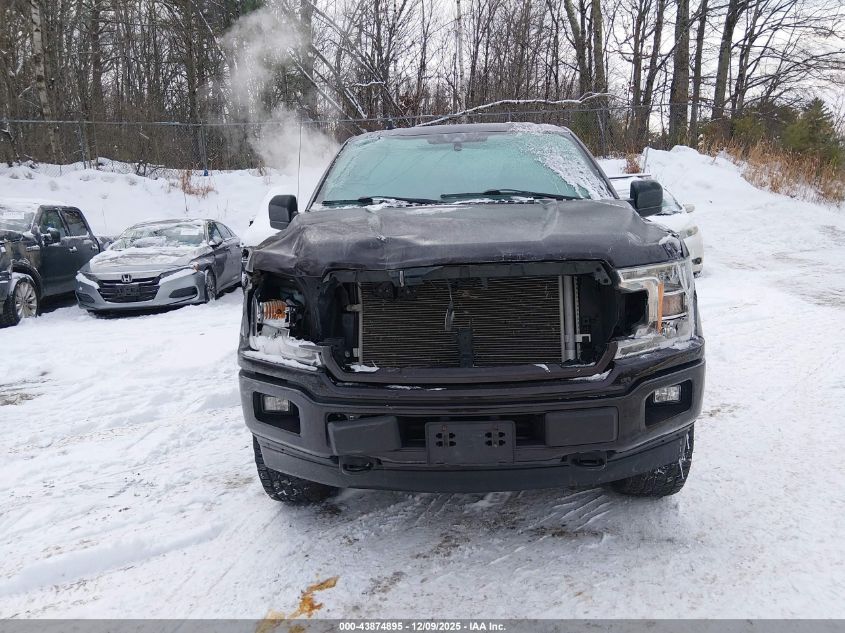 2020 Ford F-150 Xl VIN: 1FTEX1EP8LFC45059 Lot: 43874895