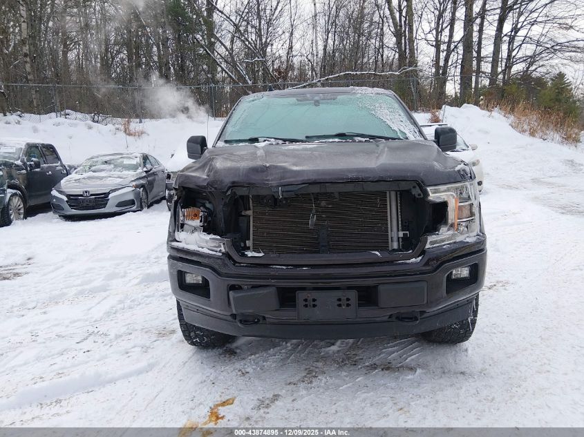 2020 Ford F-150 Xl VIN: 1FTEX1EP8LFC45059 Lot: 43874895