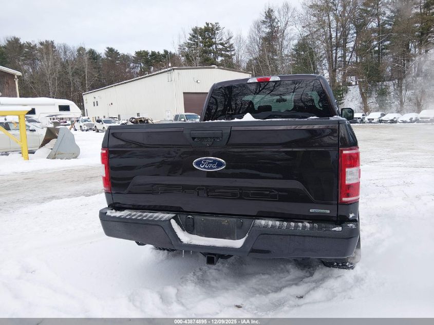 2020 Ford F-150 Xl VIN: 1FTEX1EP8LFC45059 Lot: 43874895