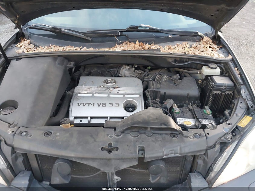 JTJHA31U540055081 2004 LEXUS RX photo no. 10
