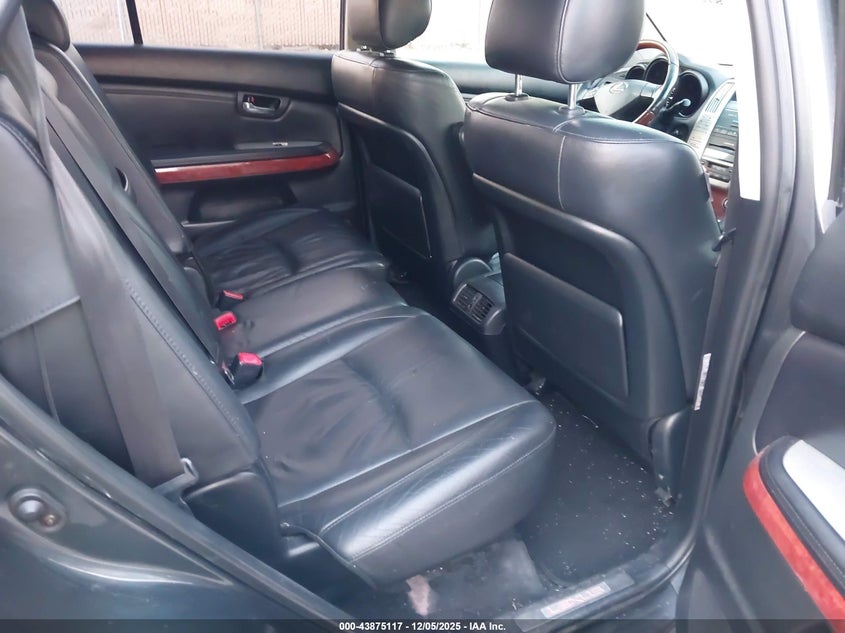 JTJHA31U540055081 2004 LEXUS RX photo no. 8