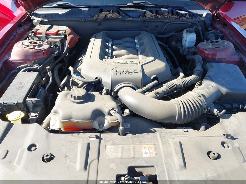 1ZVBP8CF8E5205107 2014 FORD MUSTANG photo no. 10
