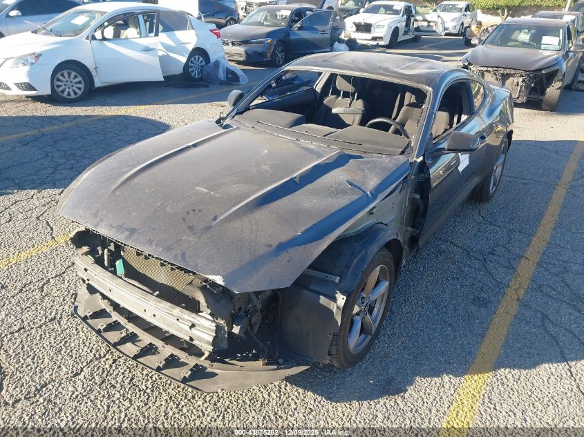 2016 Ford Mustang V6 VIN: 1FA6P8AM2G5202542 Lot: 43875282