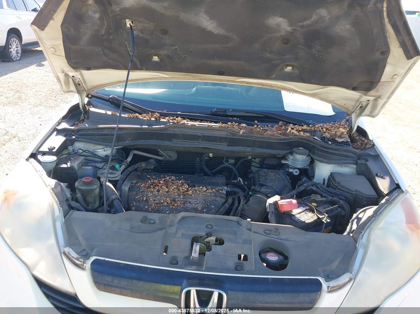 5J6RE48327L017335 2007 HONDA CR-V photo no. 10