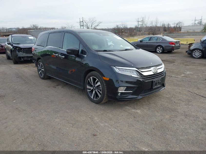 HONDA ODYSSEY ELITE