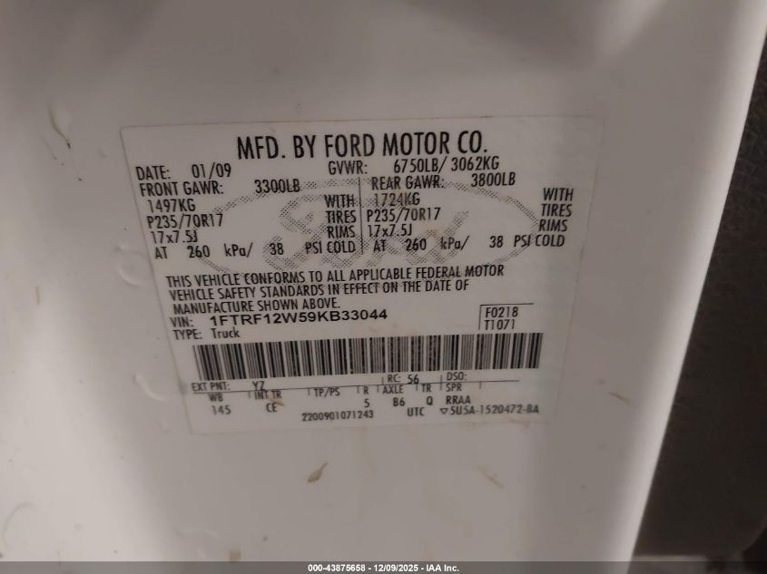 2009 Ford F-150 Stx/Xl/Xlt VIN: 1FTRF12W59KB33044 Lot: 43875658