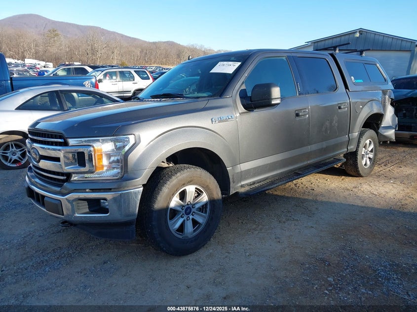 2019 Ford F-150 Xlt