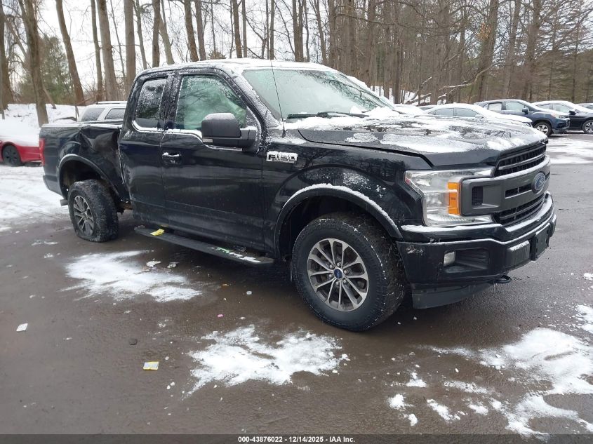 FORD F-150 XLT