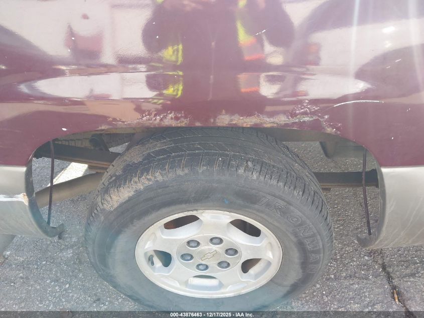 2003 Chevrolet Silverado 1500 Ls VIN: 2GCEC19T231311888 Lot: 43876463