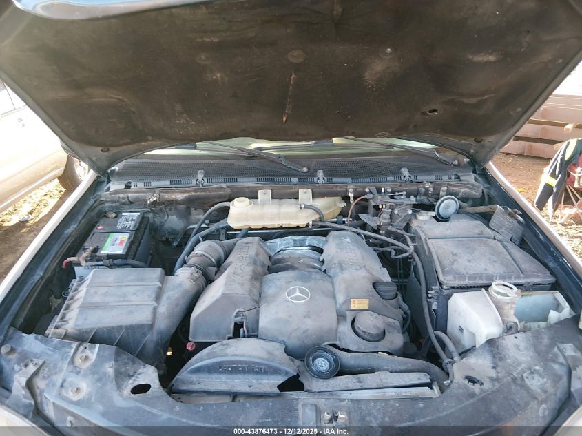 1999 Mercedes-Benz Ml 320 VIN: 4JGAB54E3XA055253 Lot: 43876473