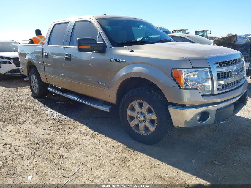 FORD F-150 XLT