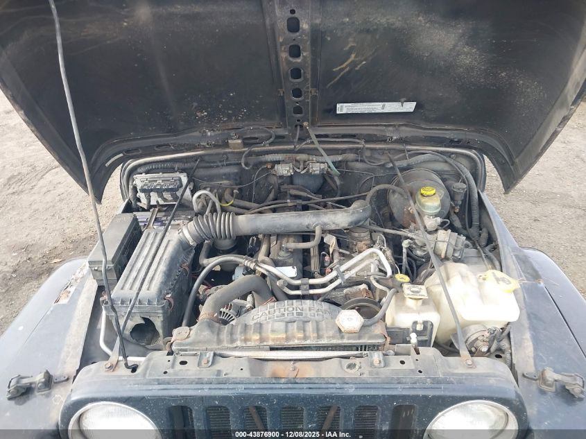 2003 Jeep Wrangler Sahara VIN: 1J4FA59S73P334007 Lot: 43876900