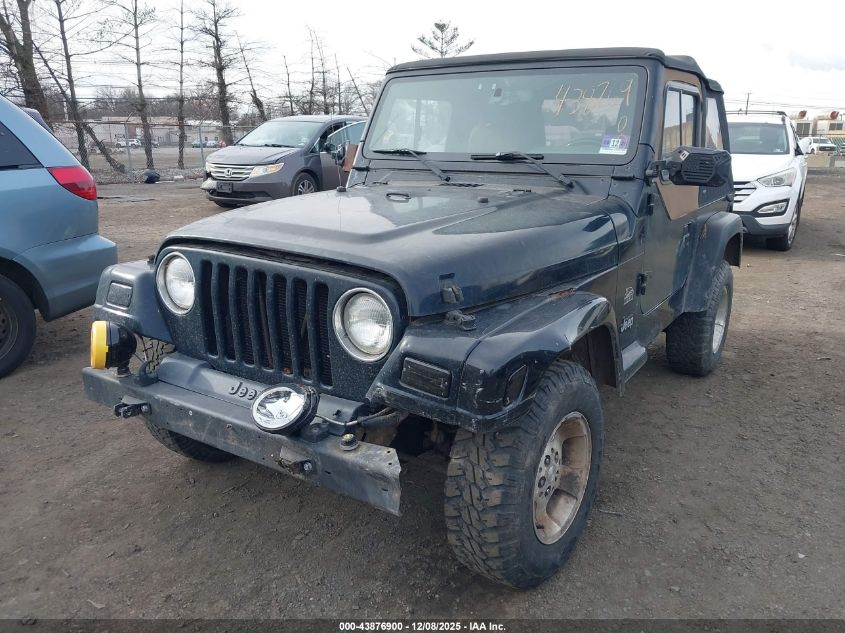 2003 Jeep Wrangler Sahara VIN: 1J4FA59S73P334007 Lot: 43876900