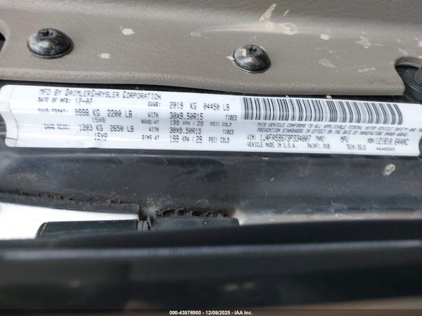 2003 Jeep Wrangler Sahara VIN: 1J4FA59S73P334007 Lot: 43876900