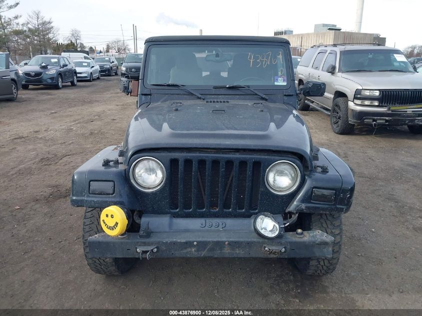 2003 Jeep Wrangler Sahara VIN: 1J4FA59S73P334007 Lot: 43876900