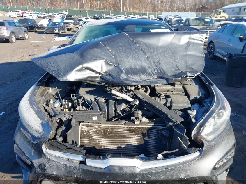 2019 Kia Forte Lxs VIN: 3KPF24AD3KE030245 Lot: 43876935