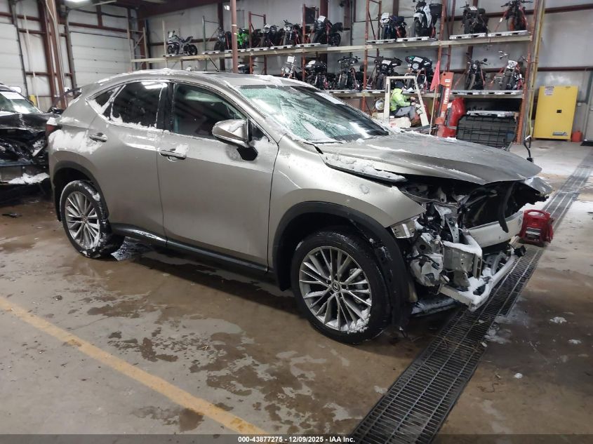 LEXUS NX 350 PREMIUM