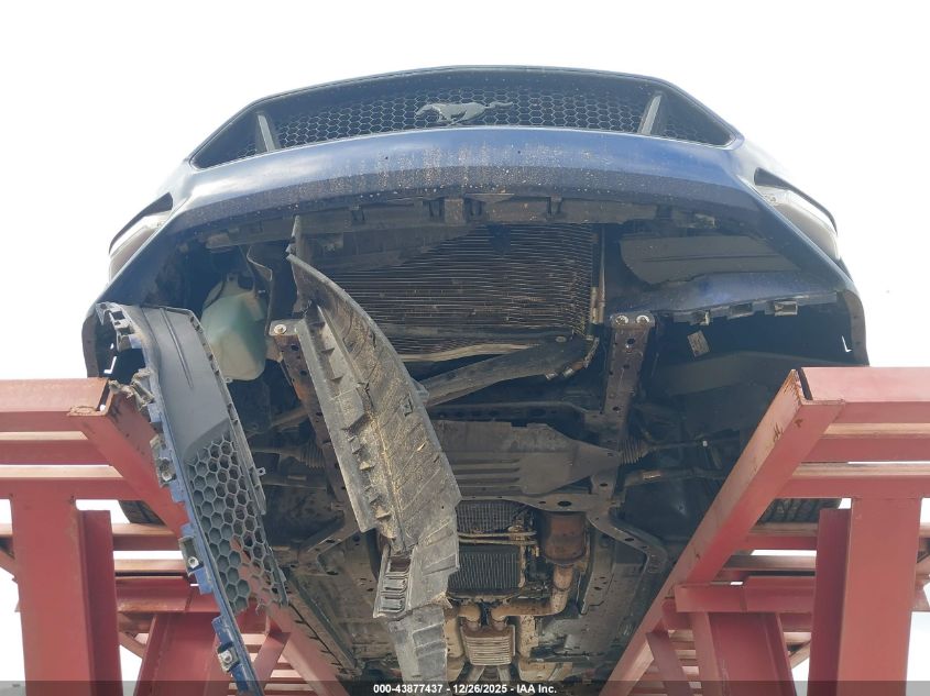 2019 Ford Mustang Gt VIN: 1FA6P8CF0K5194125 Lot: 43877437