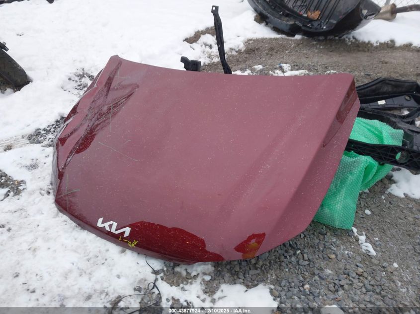 2024 Kia Sorento Lx VIN: 5XYRG4JC5RG309411 Lot: 43877924