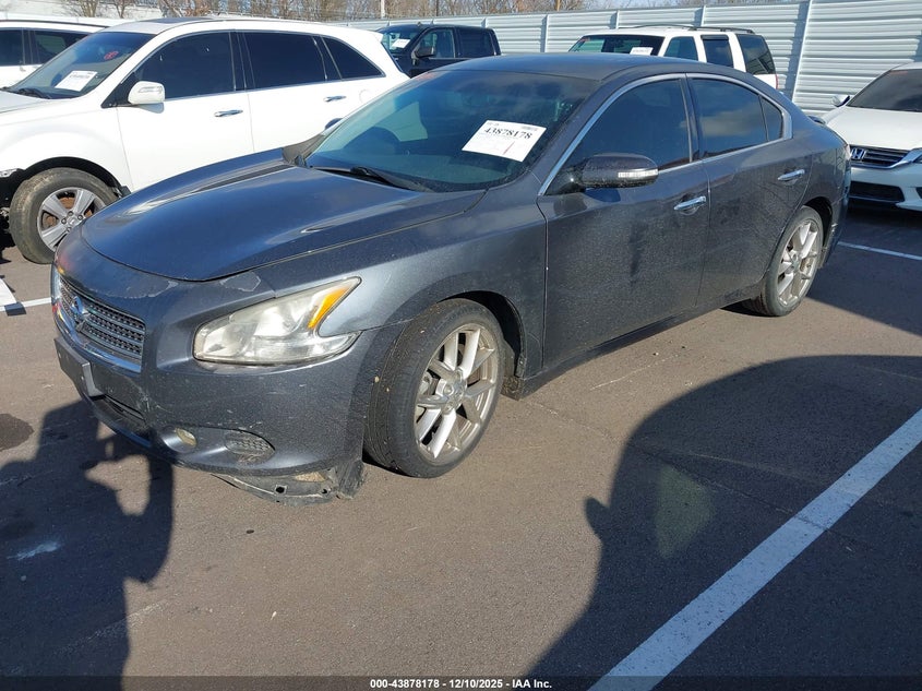 1N4AA5APXAC825253 2010 NISSAN MAXIMA photo no. 2