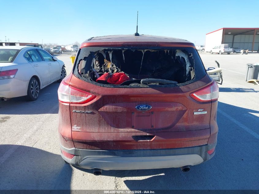 2014 Ford Escape Se VIN: 1FMCU0GX0EUB59116 Lot: 43878210