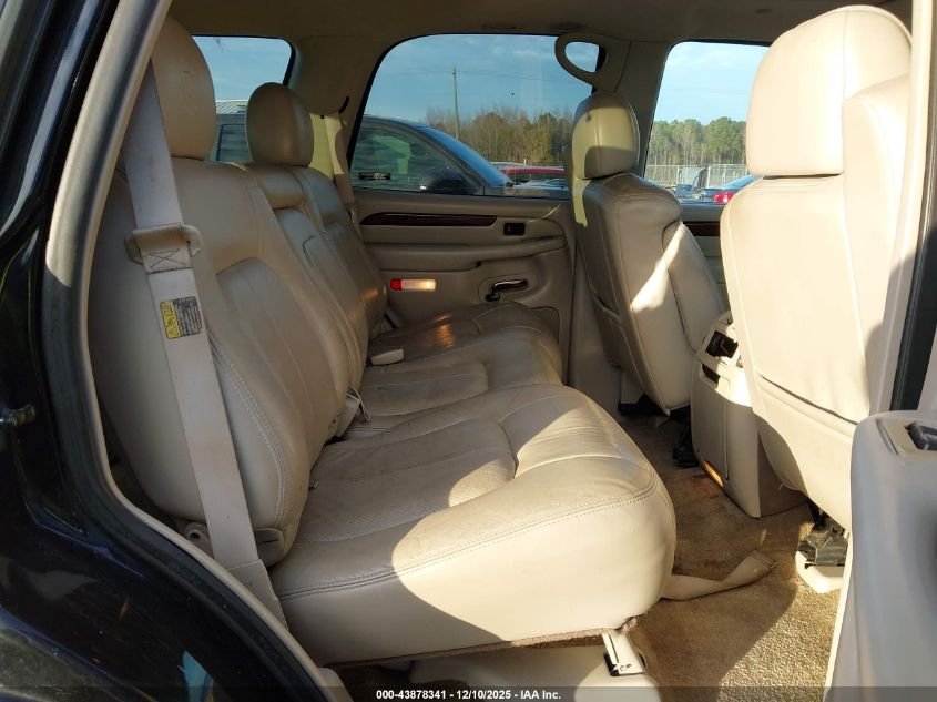 2002 Cadillac Escalade Standard VIN: 1GYEK63N22R132146 Lot: 43878341