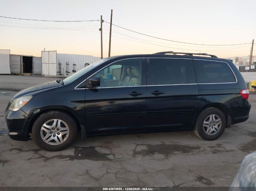 2007 Honda Odyssey Ex-L VIN: 5FNRL38627B043923 Lot: 43878555