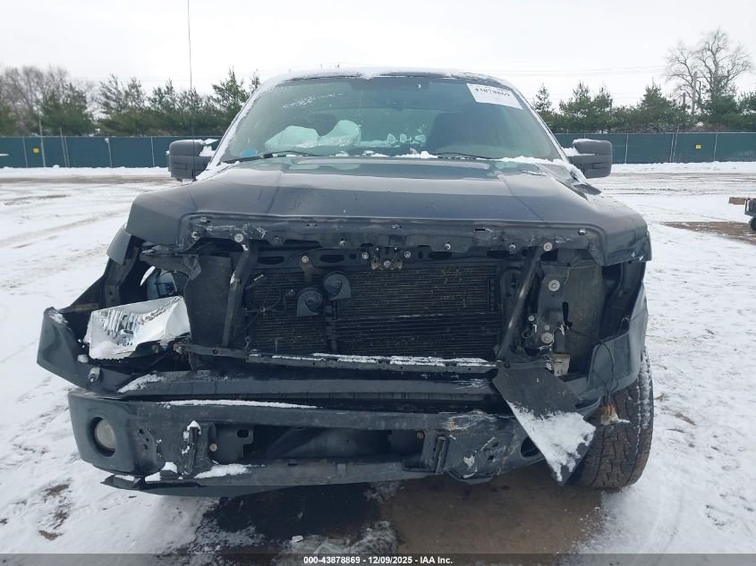 2009 Ford F-150 Stx/Xl/Xlt VIN: 1FTRX14899FA94706 Lot: 43878869