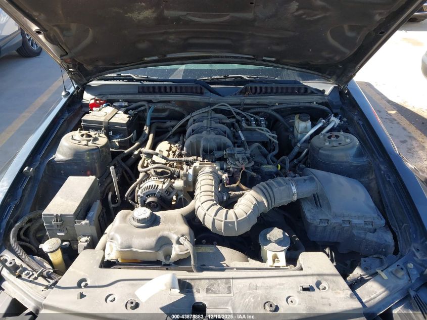 2009 Ford Mustang V6/V6 Premium VIN: 1ZVHT80N195118706 Lot: 43878883