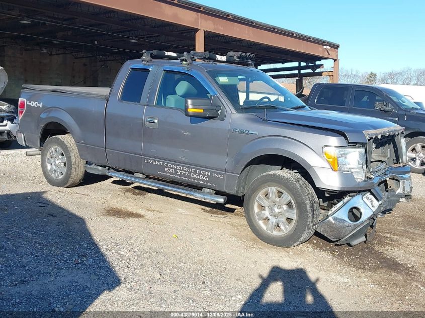 FORD F-150 XLT