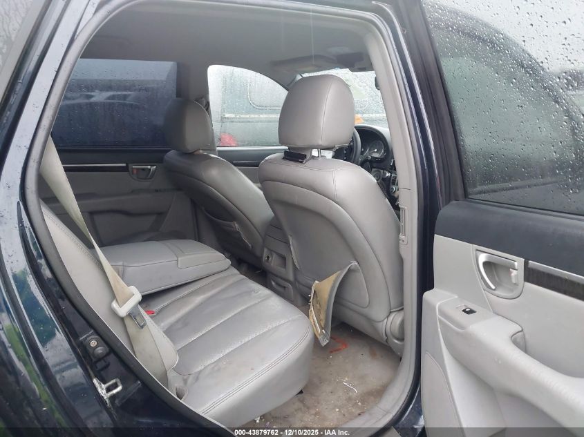 2007 Hyundai Santa Fe Limited/Se VIN: 5NMSH73E17H100250 Lot: 43879762